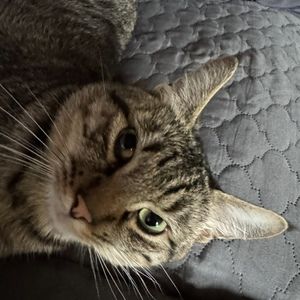 Meet your Posher, Fredy